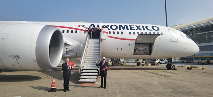 ©Aeroméxico