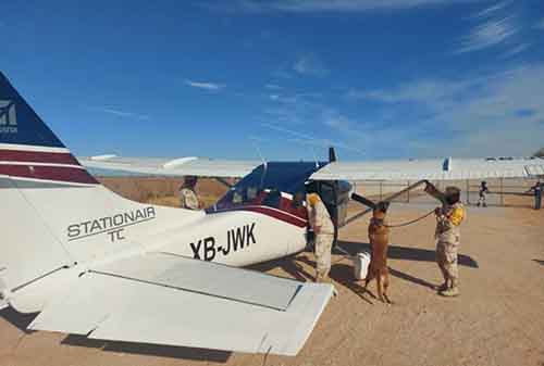 Ejército y Fuerza Aérea Mexicanos aseguran en el estado de Baja California una aeronave. ©SEDENA