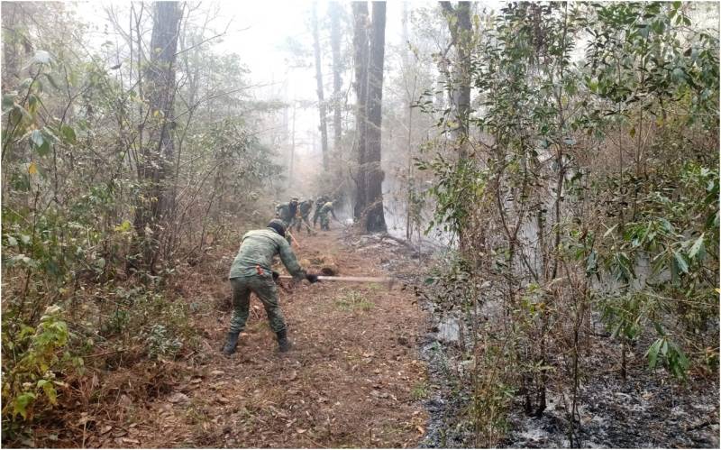 Ejército Mexicano apoya en la sofocación de un incendio en el municipio de Gómez Farías, Tamaulipas ©SEDENA