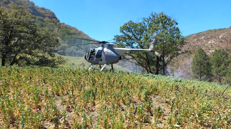 Con el apoyo de un helicóptero MD-530 perteneciente a la Fuerza Aérea Mexicana elementos militares realizaron reconocimientos aéreos ©SEDENA