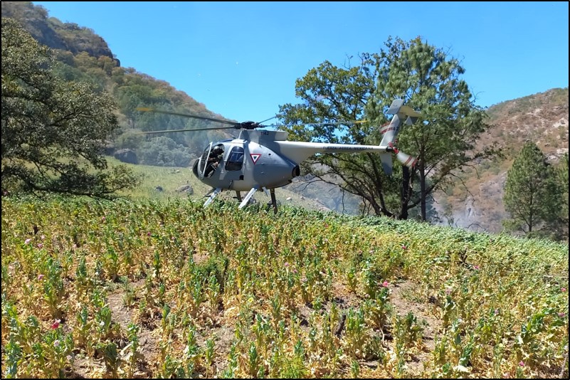 Ejército y Fuerza Aérea Mexicanos coadyuva en la lucha contra el uso indebido y el tráfico de drogas ©SEDENA