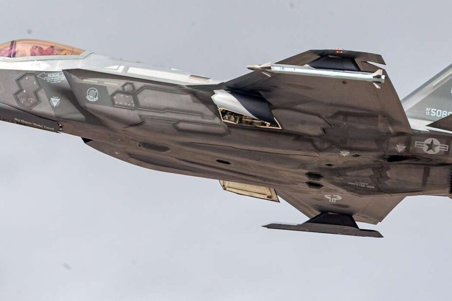  F-35 ©Fuerzas Armadas Federales/Ingo Tesche