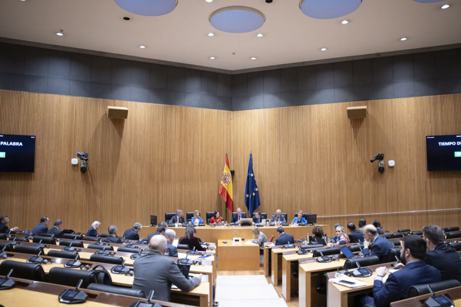 Comparece ante la Comisión de Defensa del Congreso de los Diputados. Foto: Congreso Diputados