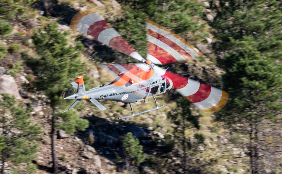 ©Fuerza Aérea de Portugal