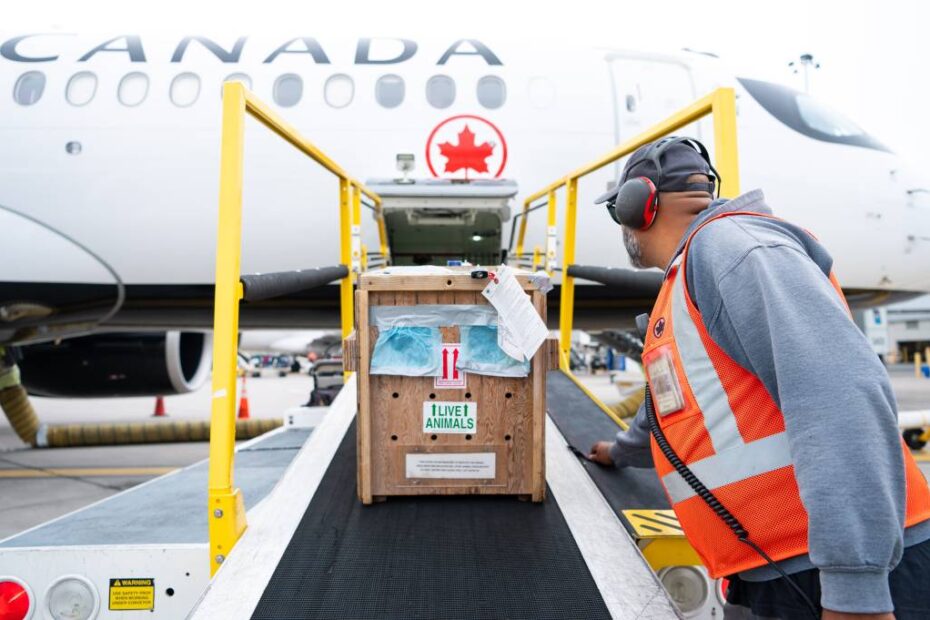 ©Air Canada Cargo