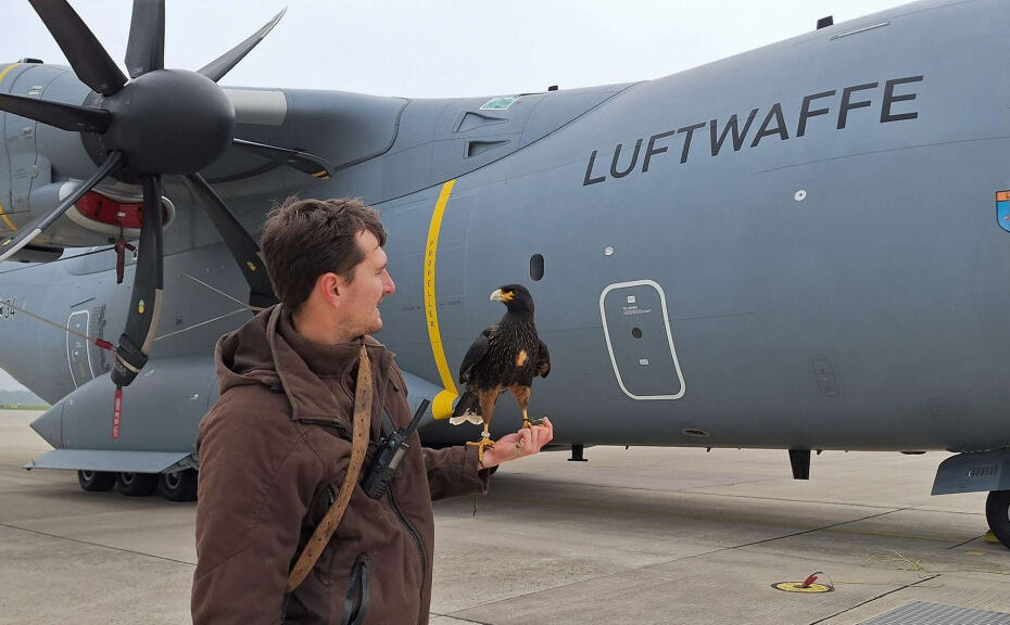 El cetrero Oliver O. es miembro del Ala de Transporte Aéreo LTG 62 ©Bundeswehr/Marius Vu