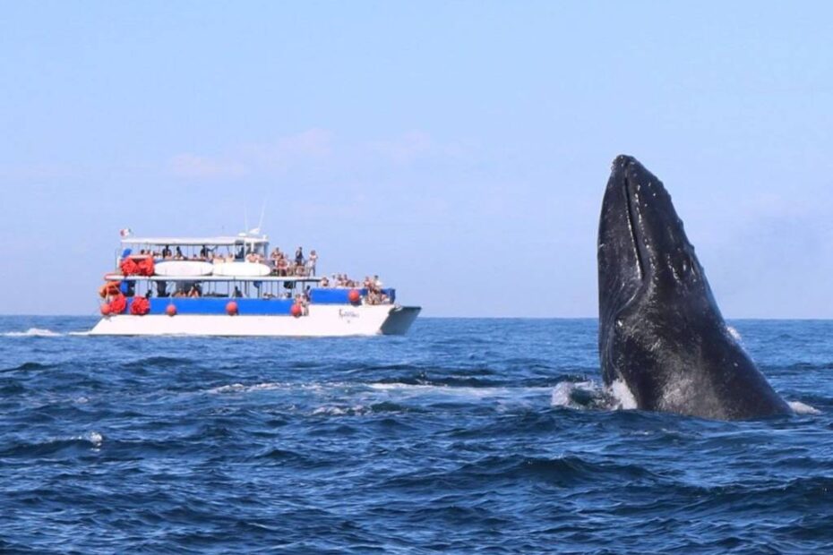 Fidetur Puerto Vallarta