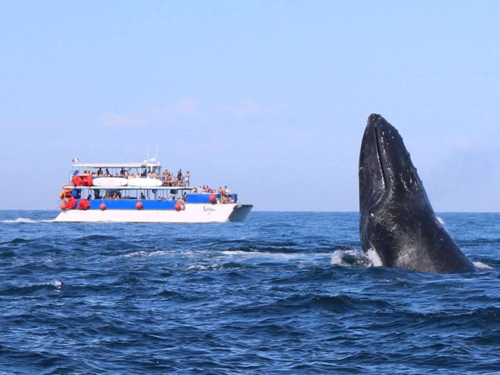 Fidetur Puerto Vallarta