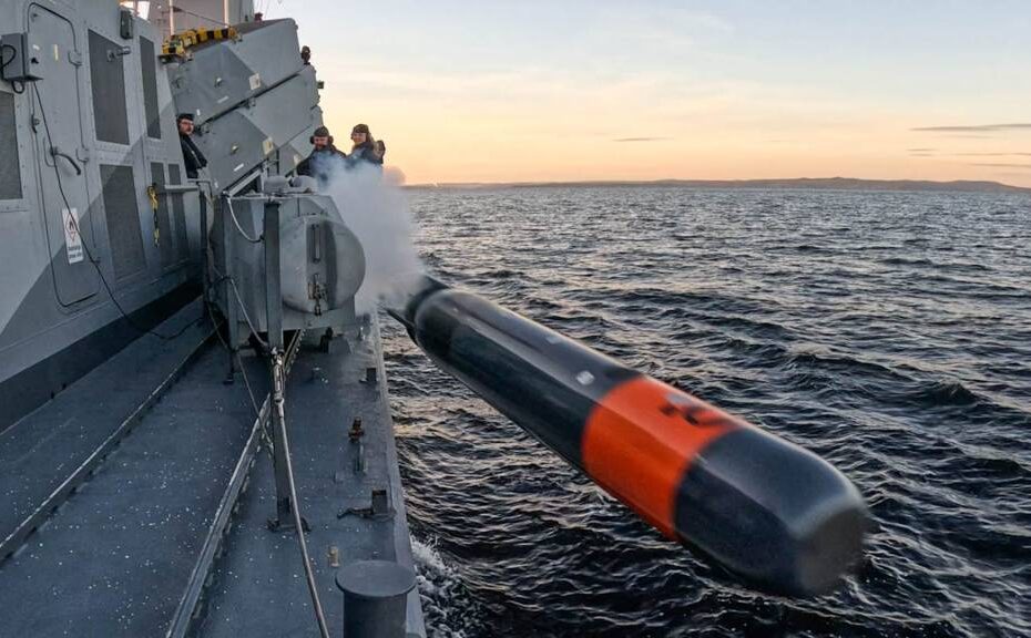 Foto: Ola Jacobsen/Fuerzas Armadas de Suecia