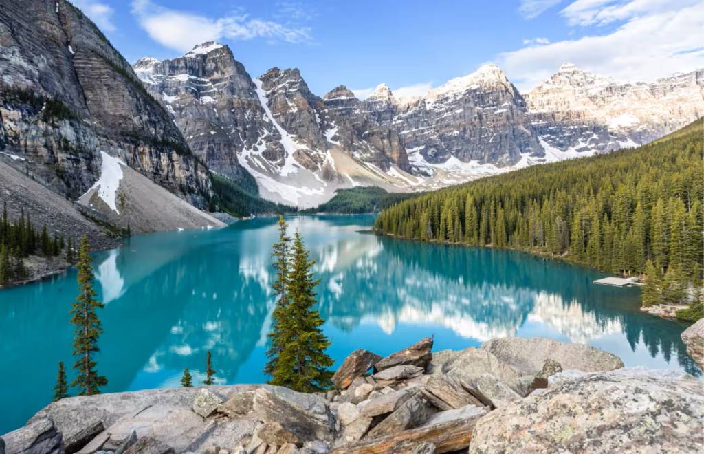 Imagen: Etihad Airways