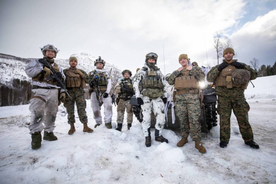 ©Forsvaret (Fuerzas Armadas Noruegas)