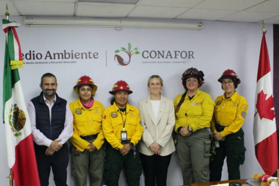 ©Comisión Nacional Forestal (Conafor)