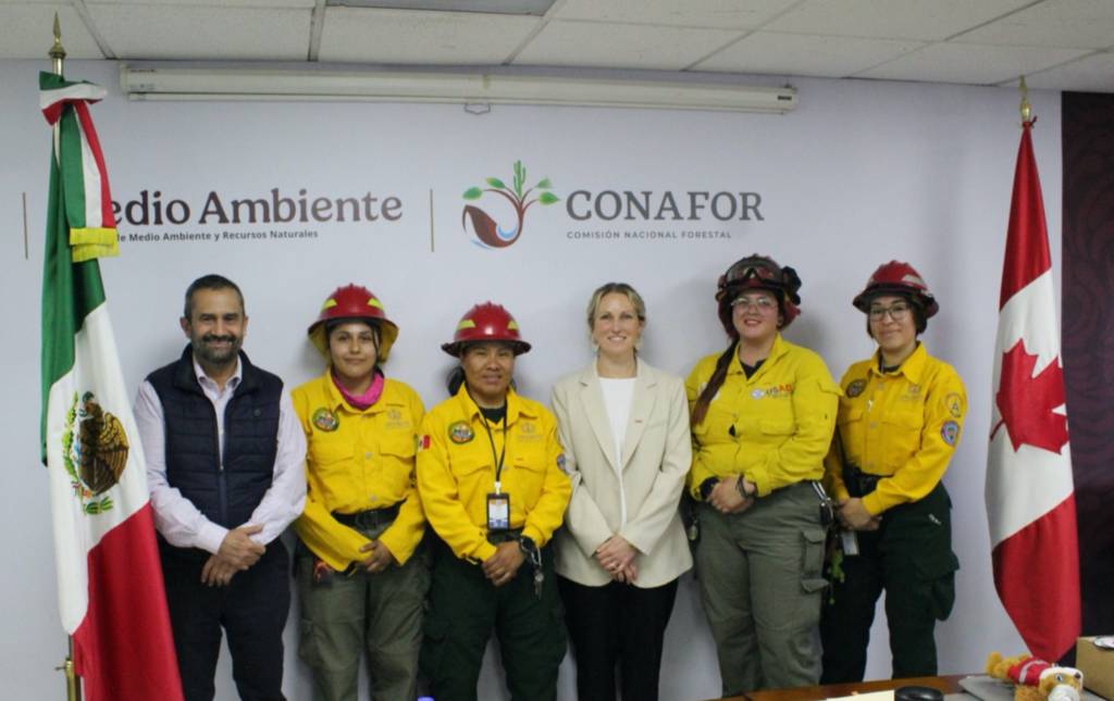 ©Comisión Nacional Forestal (Conafor)