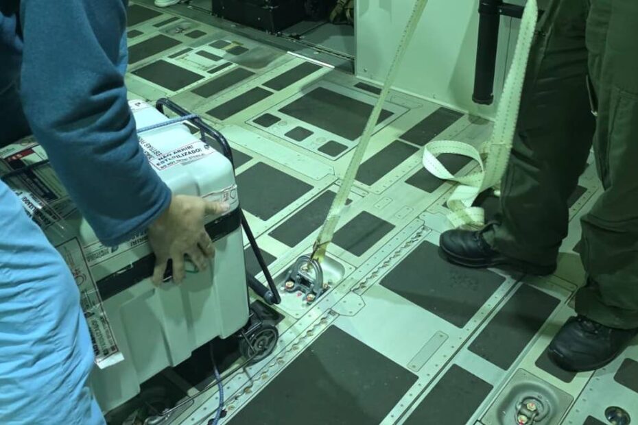 ©Fuerza Aérea de Portugal