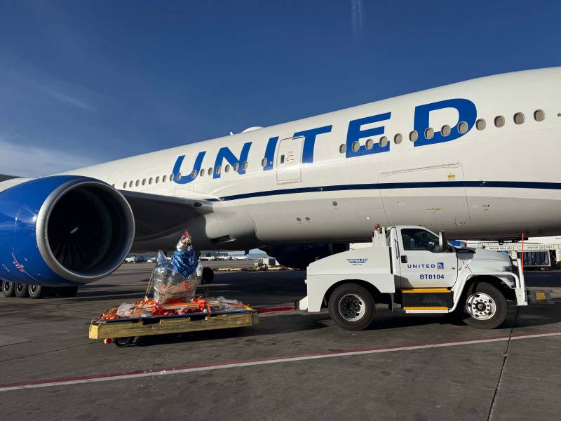 ©United Cargo