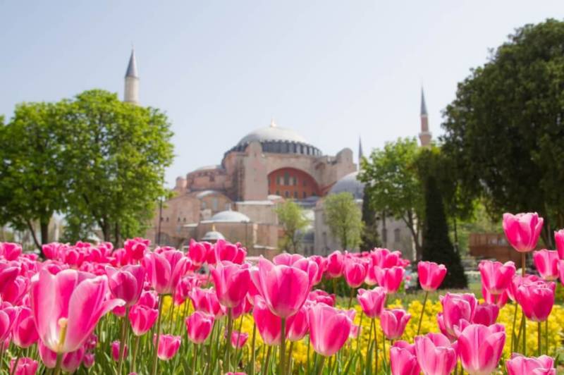 Imagen: Turkish Airlines