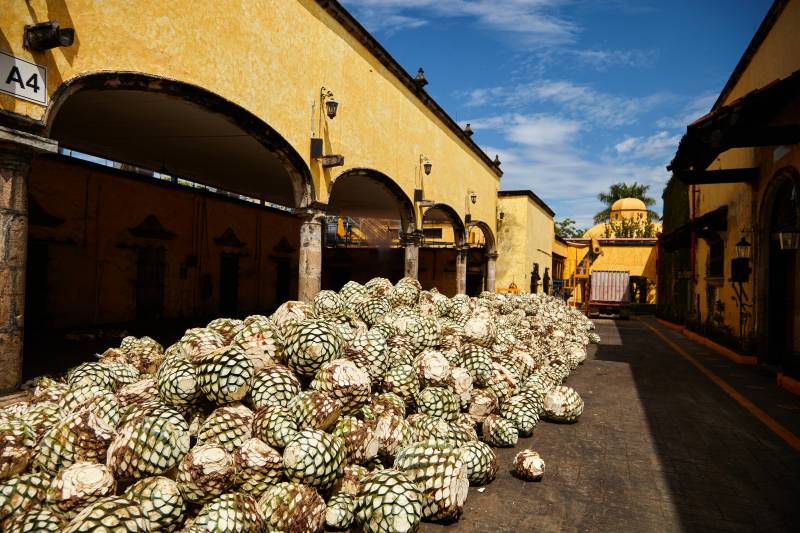 ©Gobierno de Jalisco