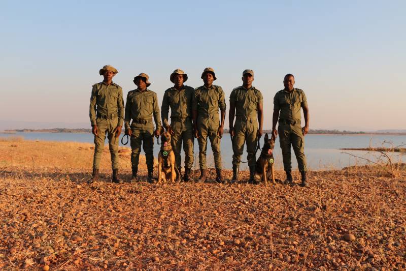 La imagen muestra a la unidad K9 junto con los dos perros especializados en conservación ©Emirates