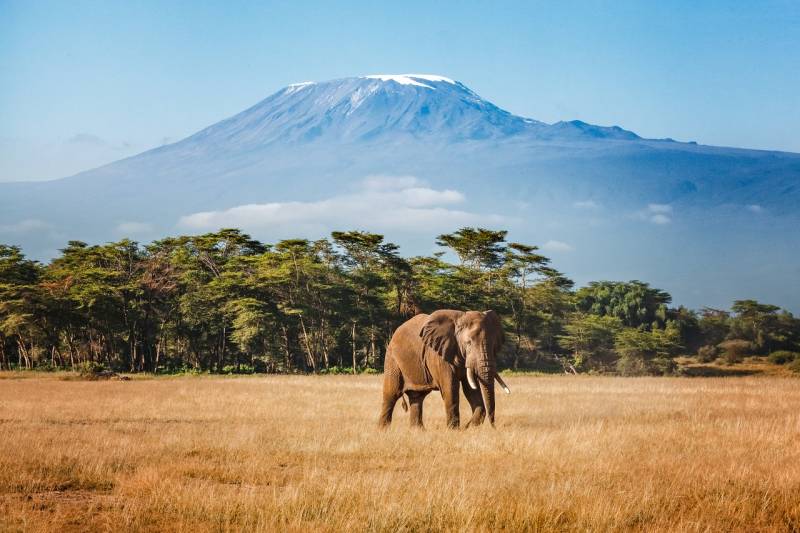 Kilimanjaro, Tanzania. Imagen : British Airways